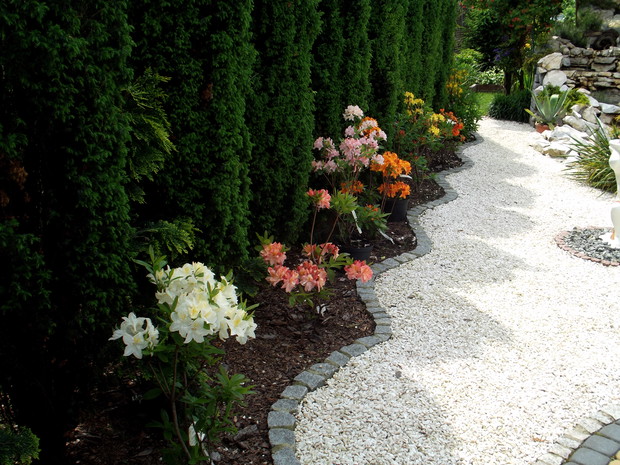 Jeszcze małe ale już piękne 