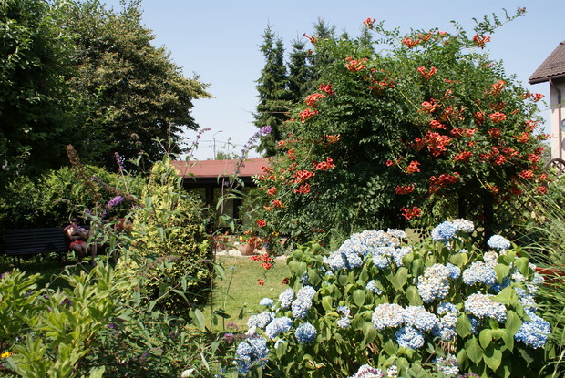Jeszcze raz widok na starą pasiekę...
