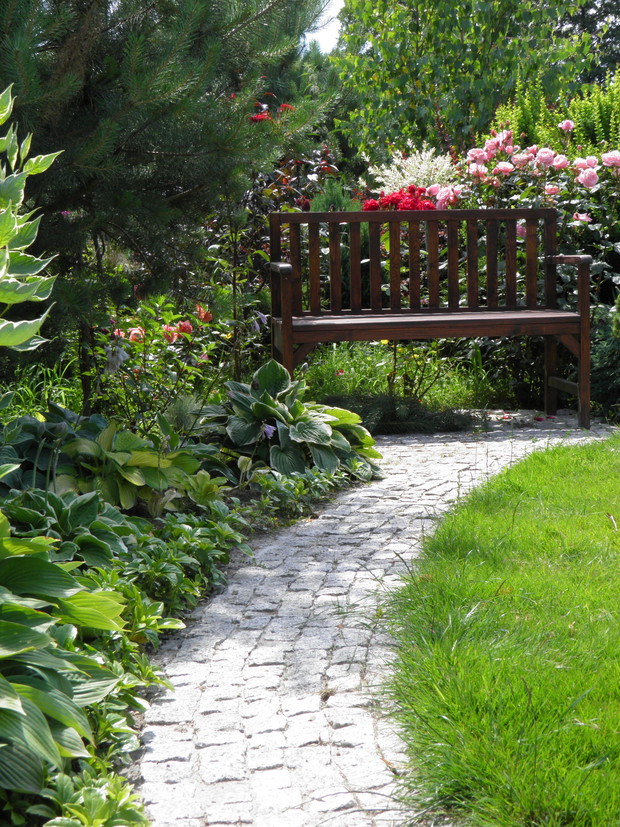 kącik z ławką pięknieje a funkie rosną jak szalone