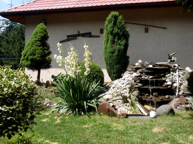 kaskada i kwitnąca juka ogrodowa 