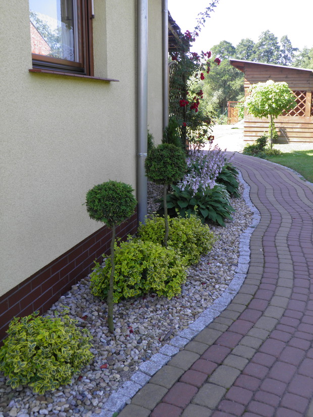 kolejna zakręcona ścieżka, na taras, na jesień pusta ścianą zasłonięta będzie przez formowane graby, oczywiście formować będę samodzielnie bo to świetna zabawa 