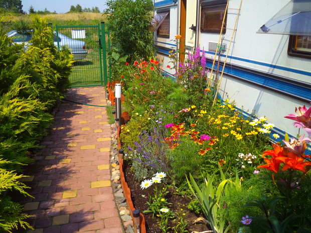 Kolejny rzut okiem na rabatkę w stylu wiejskim, jak widać camping wcale nie musi być przeszkodą aby stworzyć wspaniały kącik dla roślin. Jest też dla nich dobrym tłem.