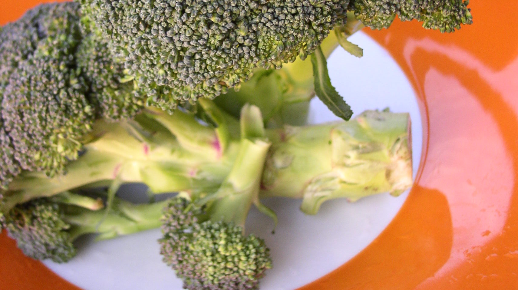 „Kwiatostan brokułu nazywamy różą. Lubię wiedzieć więcej o warzywach, które sadzę na działce”. Zdjęcie: Irena Prot.