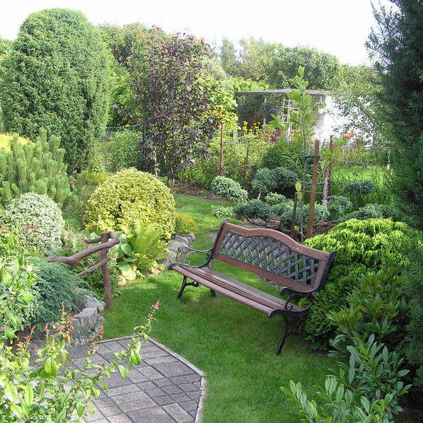 Ławeczka przy oczku wodnym jest miejscem do obserwacji żab i rybek.