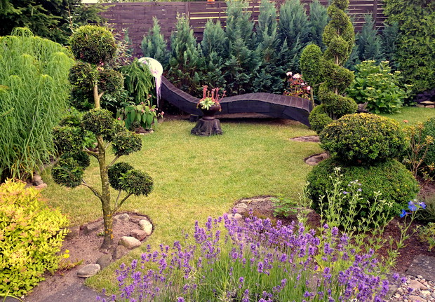 Lawendowa sypialnia :)

Imponujący efekt, który udało się osiągnąć w moim ogrodzie, to tak naprawdę trud pracy rąk moich oraz męża i syna – dzięki ich zamiłowaniu do stolarki, można cieszyć oko drewnianymi elementami 