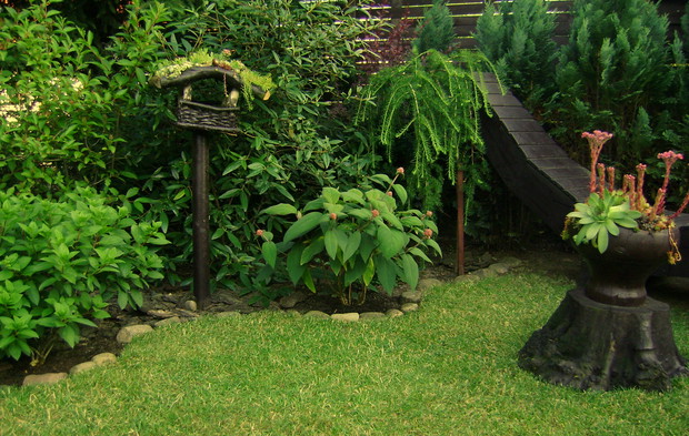 Mini ogródek na daszku karmnika