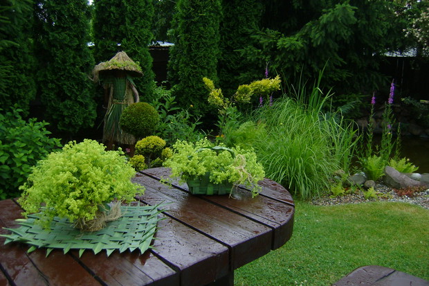 Na stole są moje prace, które tworze z roślin ogrodowych :)

Koszyk z liści juki  z  kwiatami przywrotnika  oraz mata z  juki ogrodowej