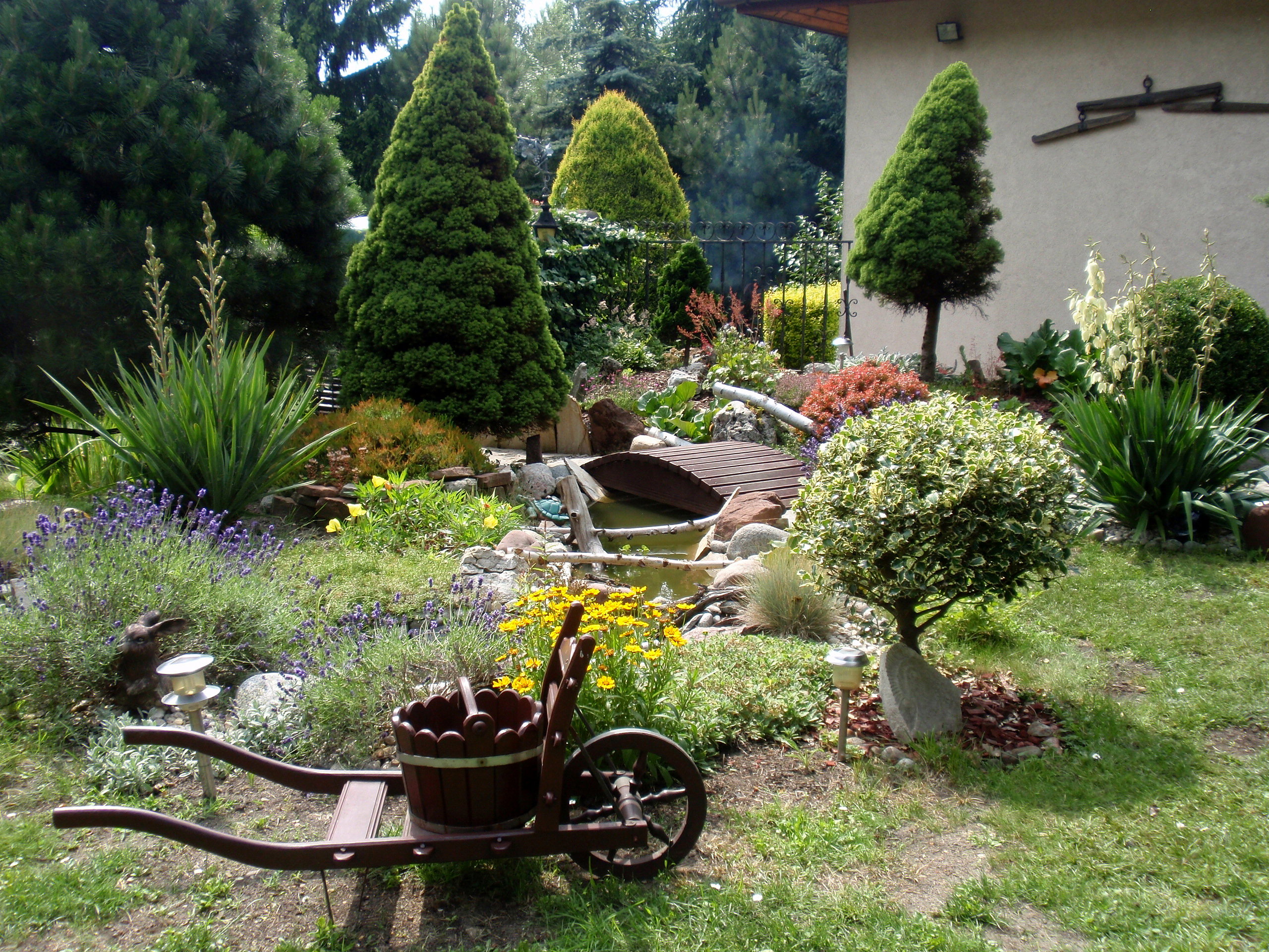 nad strumykiem..m.in ze świerkami conica, lawendą, juką ogrodową...