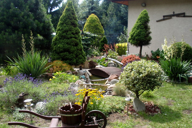 nad strumykiem..m.in ze świerkami conica, lawendą, juką ogrodową...