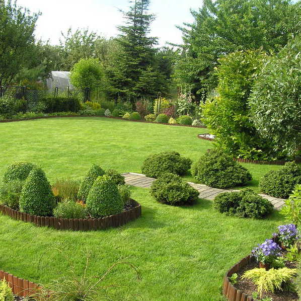 Nasz wypielęgnowany trawnik .