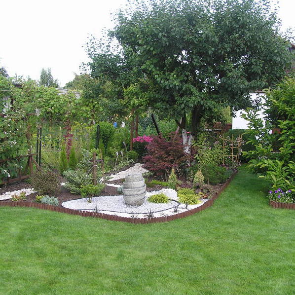 Nawet śliwka w tym roku obrodziła.