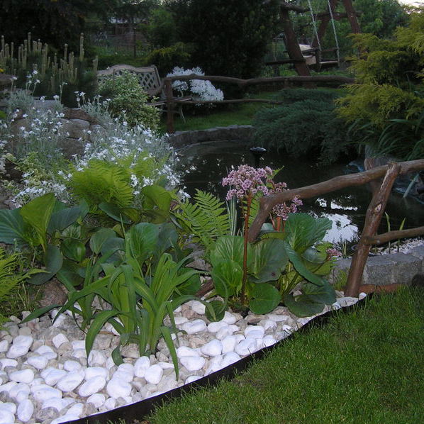 Otoczenie oczka wodnego z białych kamieni .