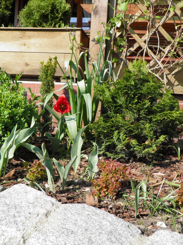 pokazał swoje wdzięki od środka