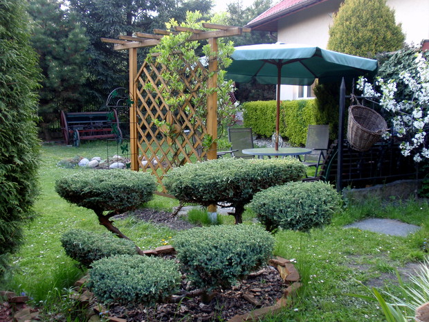 Przytulny kącik kawowy z własnoręcznie przystrzyżonym jałowcem, obok miejsce na ognisko