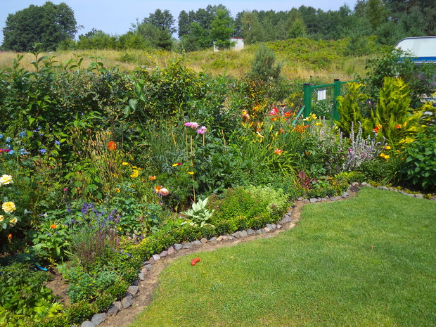 Rabata kwiatowa z przodu działki