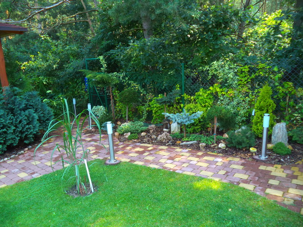 Rabata z iglakami mojego taty, zrobił ją całkiem sam i jest z tego dumny.