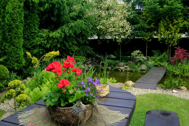 Romantyczne oczko wodne