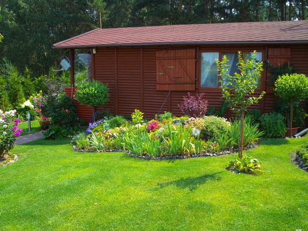 Rzut okiem na skalniak od przodu w towarzystwie wierzby Hakuro, jak widać idealnie do siebie pasują :) Przed nimi Śliweczka :)