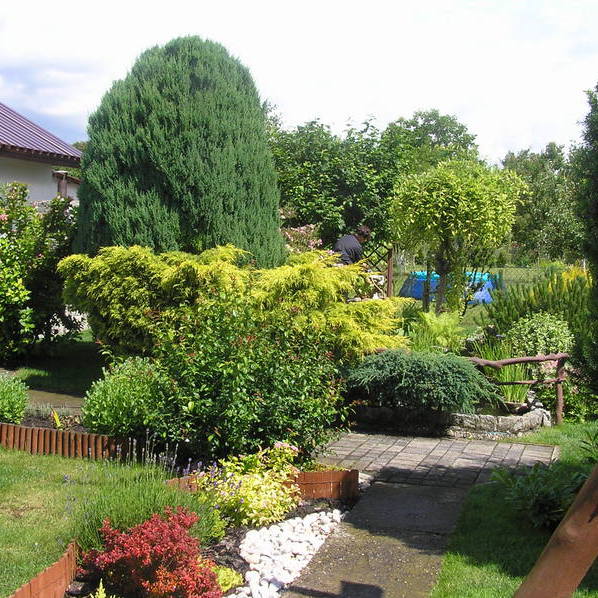 Sąsiad za płotem właśnie ustawił basen a w naszym już kapał się wnuk.