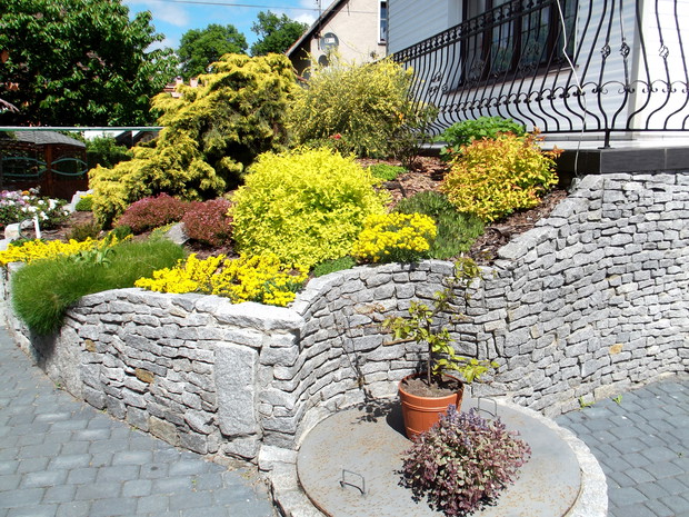 Skalniak pod balkonem