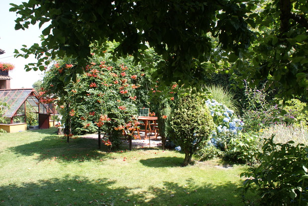 Stara szklarnia po gruntownej, samodzielnie przeprowadzonej renowacji pozwala nam cieszyć się smakiem dorodnych pomidorów aż do późnej jesieni. Można w niej jeszcze znaleźć ogórki, paprykę, a także zioła...