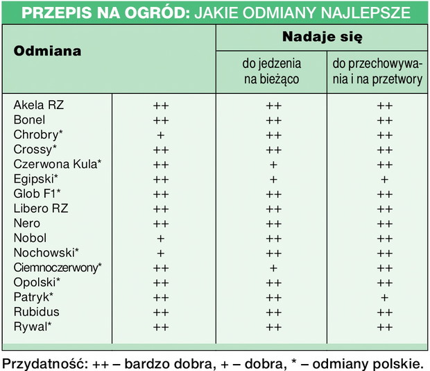 Tabela - najlepsze odmiany buraków.