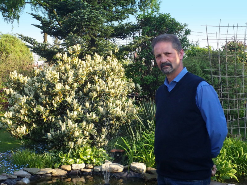 Tata przy oczku wodnym i laurowiśnia w tle.