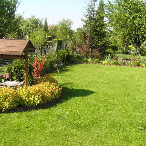 Tawuła japońska "Goldflame" jako obwódka studzienki.