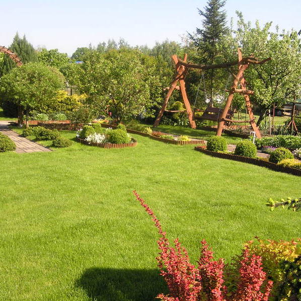 Trawnik , huśtawka i przycięte kule nie tylko bukszpanowe naszą dumą.