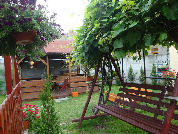 W cieniu winogron można się pobujać.