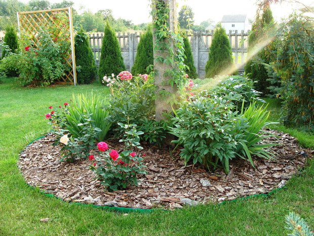 W promieniach zachodzącego słońca