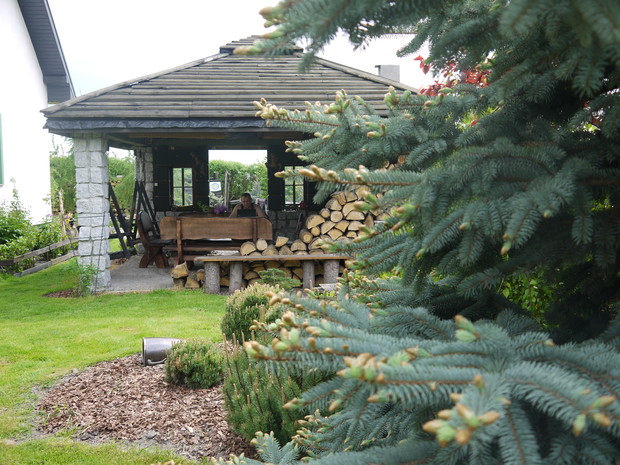 w tle nasza duma altana /  pierwszy plan to srebrne złoto naszego ogrodu :) 