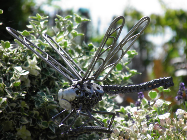 ważka z bliska, widać z czego wykonana 