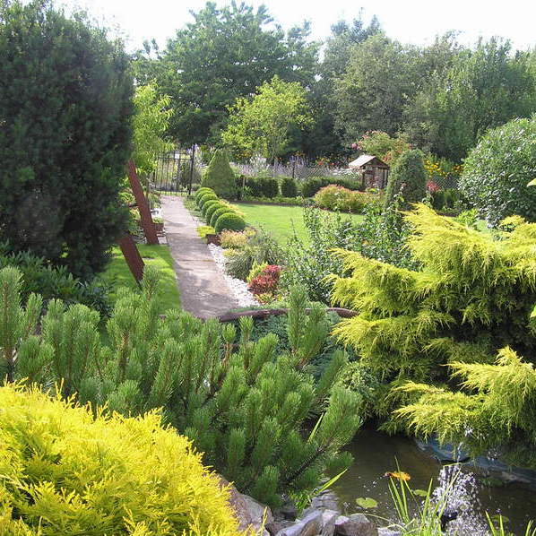 Wejście na działkę od strony oczka wodnego.