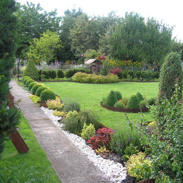 Wejście na naszą działkę otoczone kulami bukszpanowymi. Na powitanie świerk biały Conica.