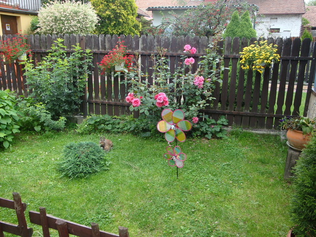 Wiatraczek rozwesela każdego szczególnie najmłodszego:)