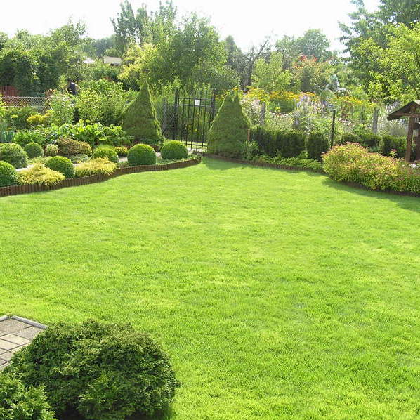 Widok na wypielęgnowany trawnik.