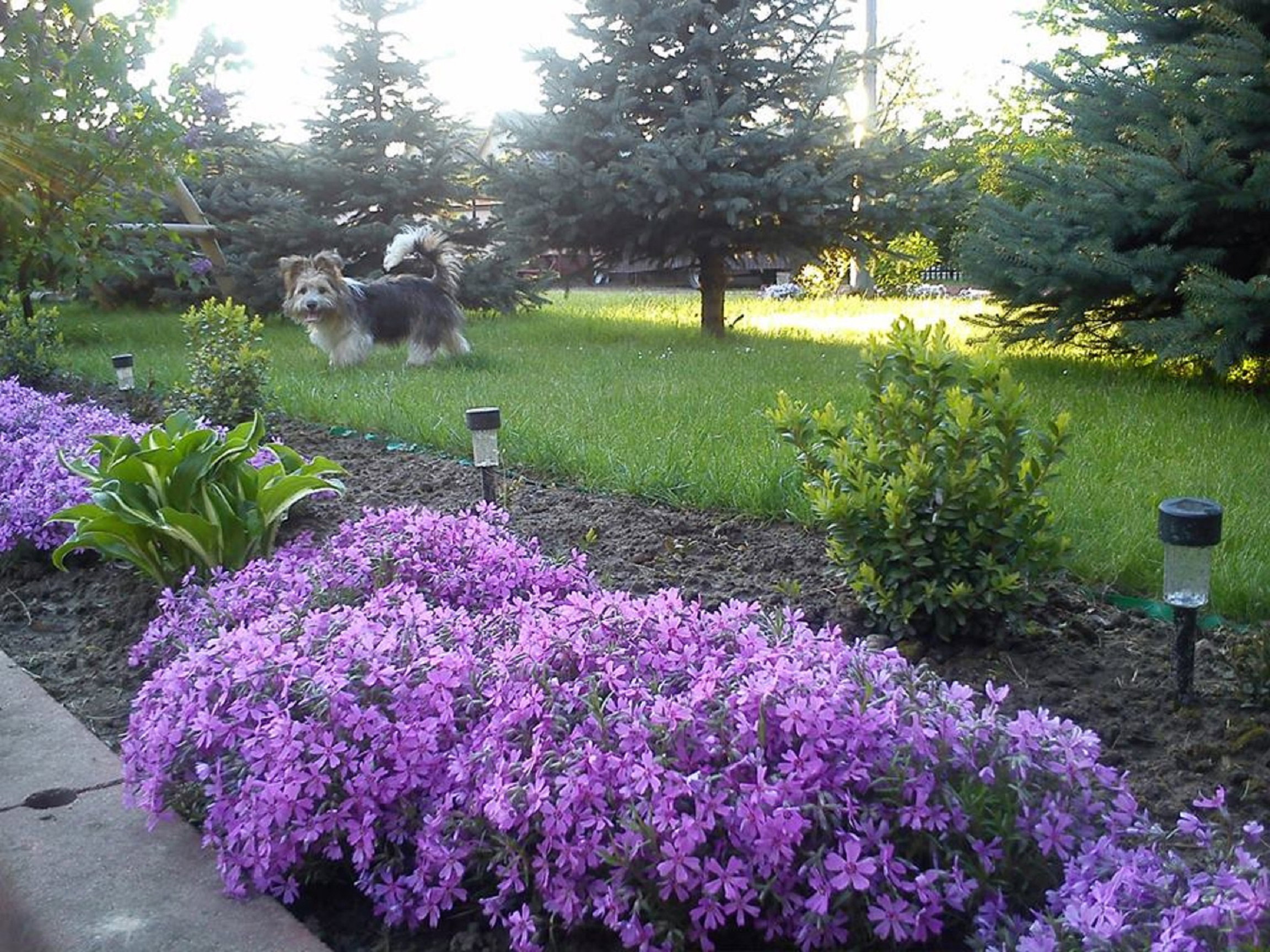 Wiosenne przebudzenie