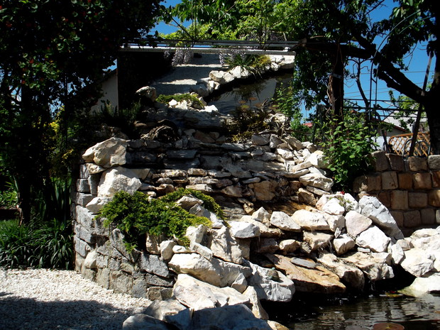 Z kaskady chętnie korzystają ptaki i pszczoły.