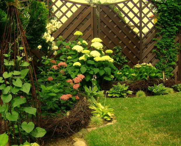 Zakątek z hortensjami