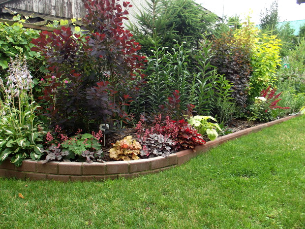 Założona rabata rok temu nabiera tępa jeszcze tylko nie zakwitły kolorowe pachnące lilie. 