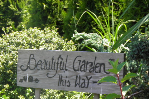 Zapraszam do ogrodu :)