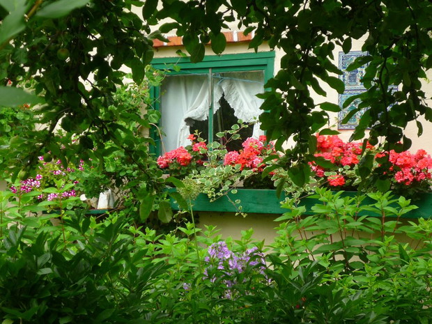 A to Domek Ogrodnika - ze wszystkich stron porastają go pnącza i ozdabiają kwiaty jednoroczne...