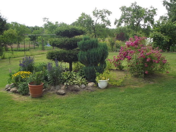 Bawmy się obcinaniem krzewów.