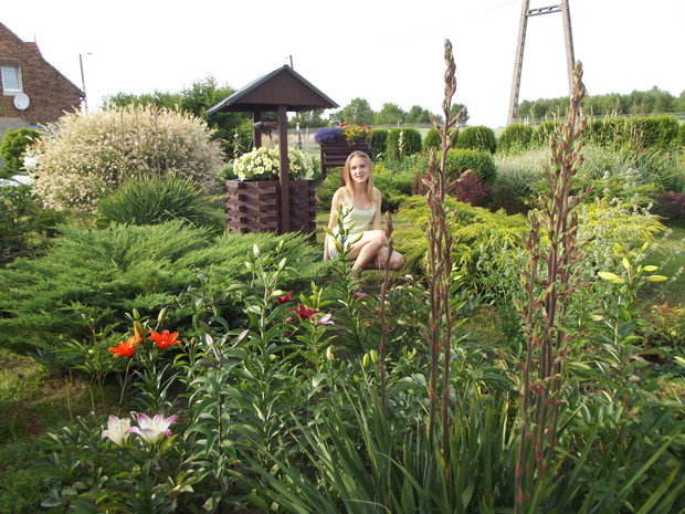 córeczka często tu gości