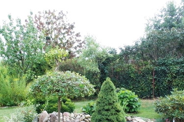 " cud natury - skalniak "