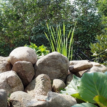 " cud natury - skalniak "