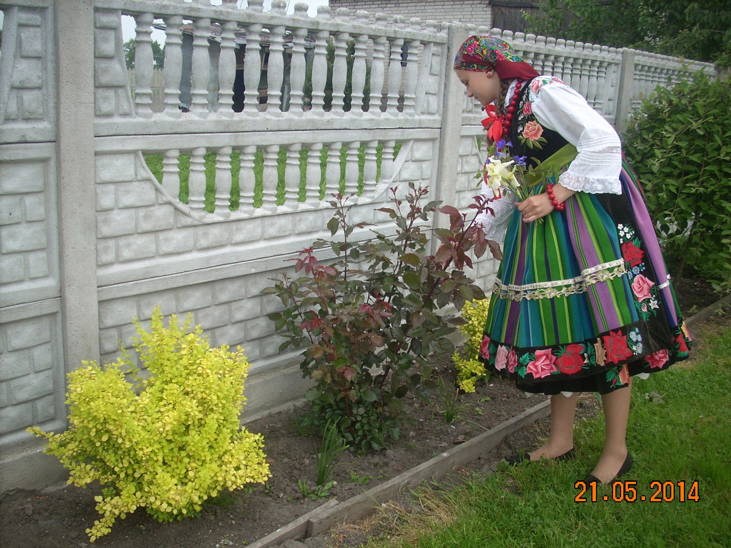 Czekając na róże.