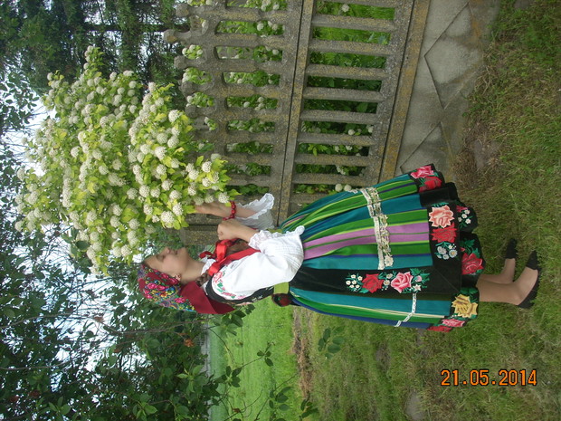 Czekając na róże.