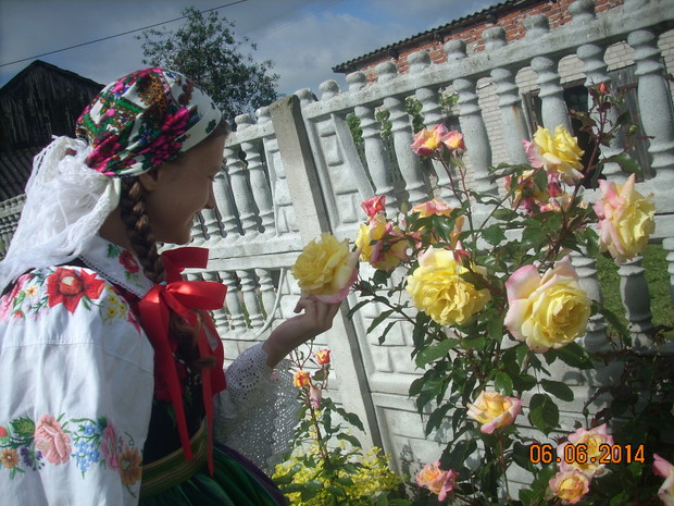Czekając na róże.